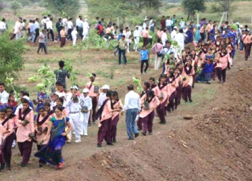 Mass plantation programs are initiatives aimed at planting a large number of trees or plants in a specific area within a short period.