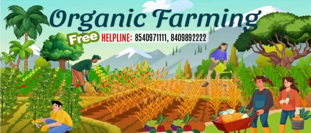 Free organic farming Support