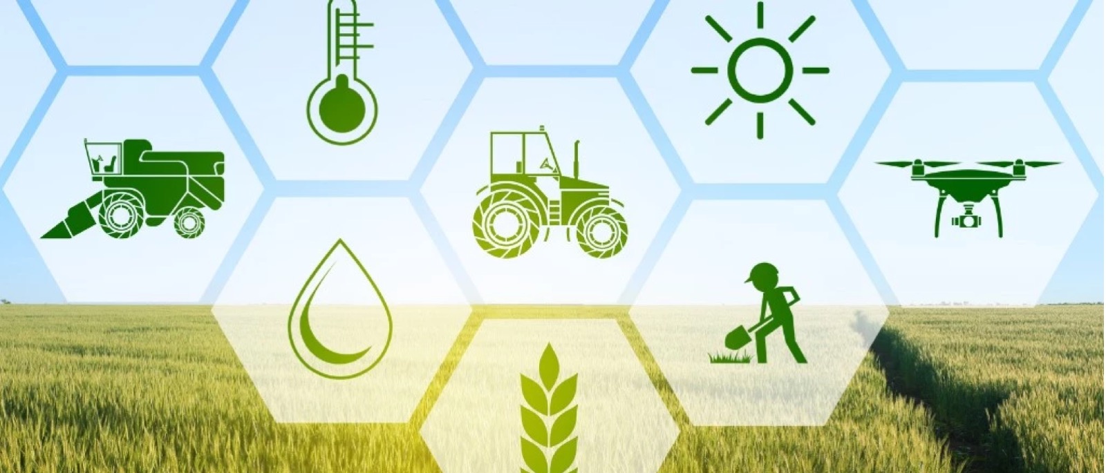 Training, Capacity Building & Knowledge Transfer